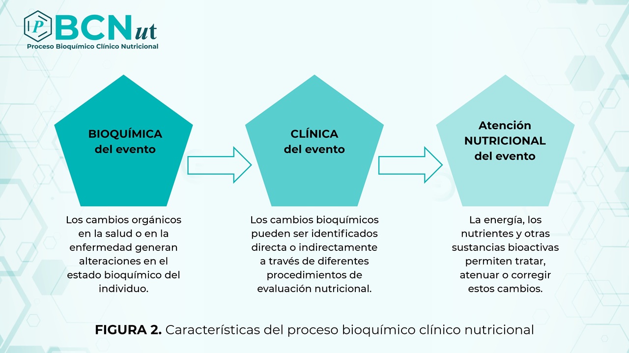 Fundamento del PBCNUT