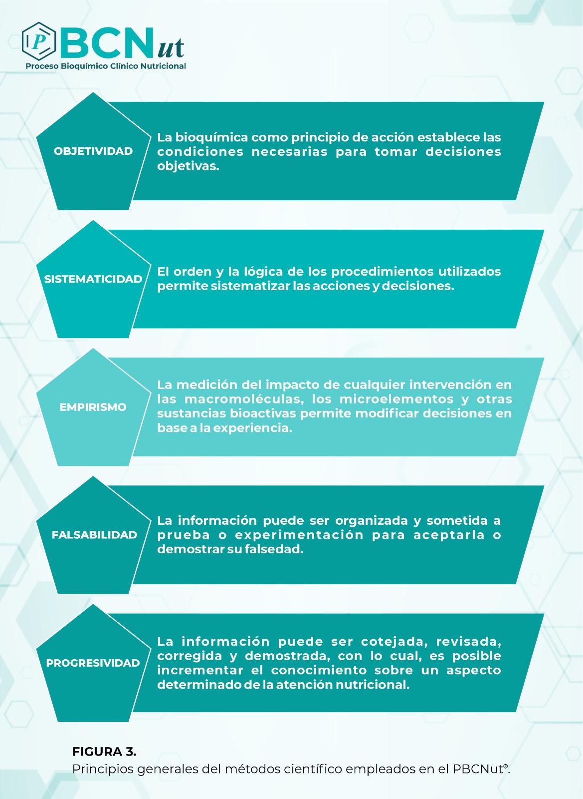 Principios del método científico